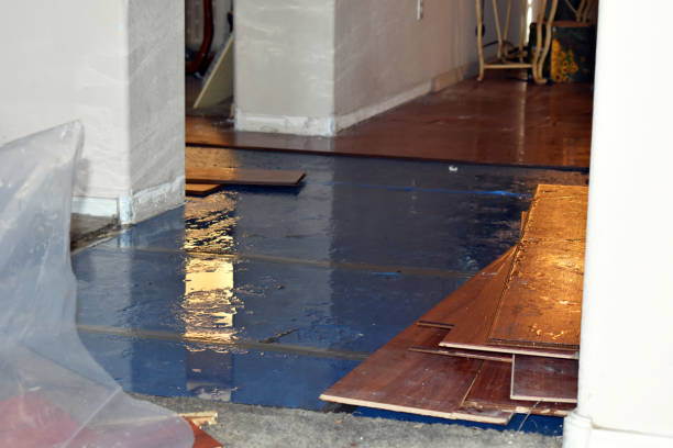 Professional Water Damage Restoration technician working in Bellevue, IL